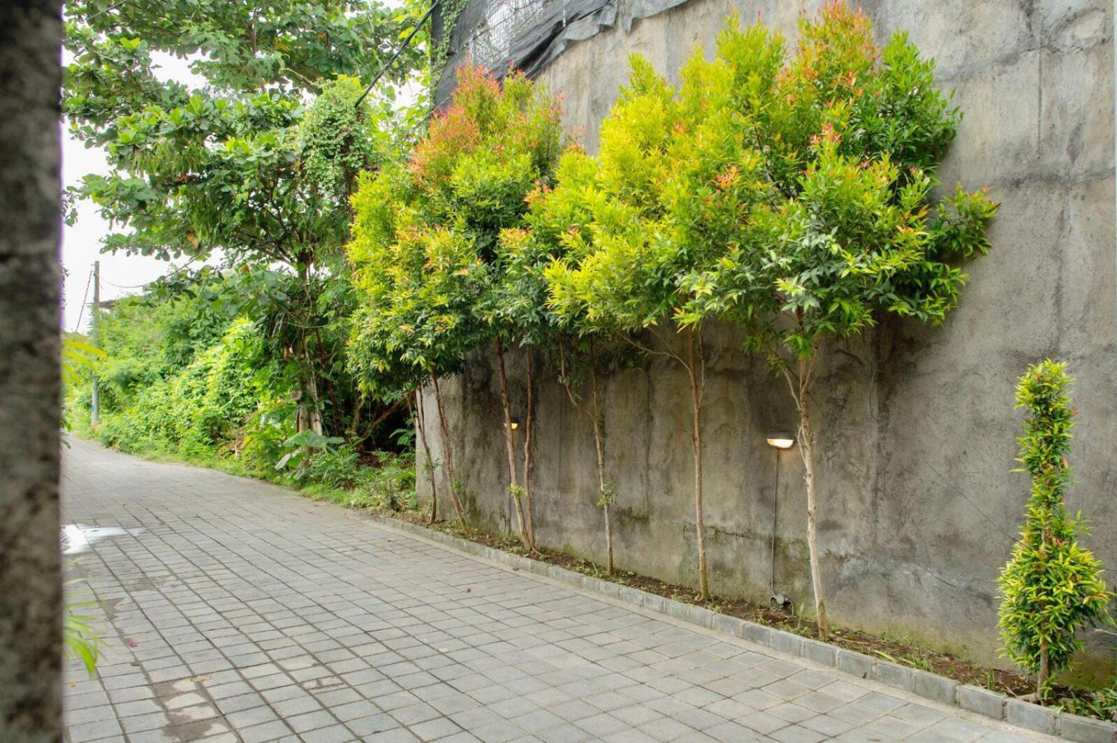 A7 Guesthouse Canggu  Exterior photo